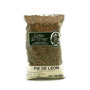 PIE DE LEON 40 GR